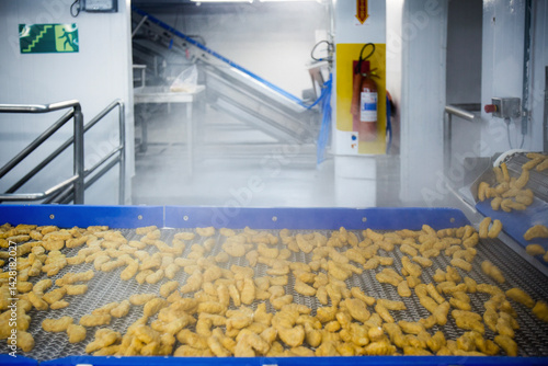 Breaded chicken production line in food factory  automated conveyor belt system in industrial food processing plant
