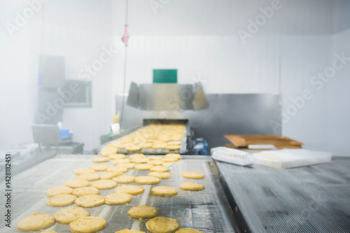 Breaded chicken production line in food factory  automated conveyor belt system in industrial food processing plant