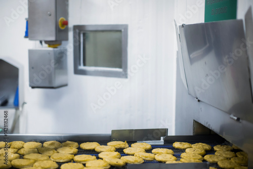 Breaded chicken production line in food factory  automated conveyor belt system in industrial food processing plant