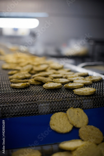 Breaded chicken production line in food factory  automated conveyor belt system in industrial food processing plant