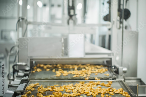 Breaded chicken production line in food factory  automated conveyor belt system in industrial food processing plant