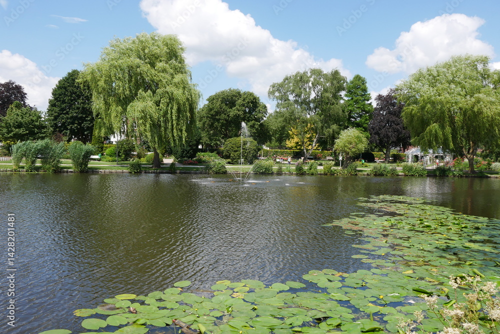 Teich mit Trauerweide im Rosarium Uetersen