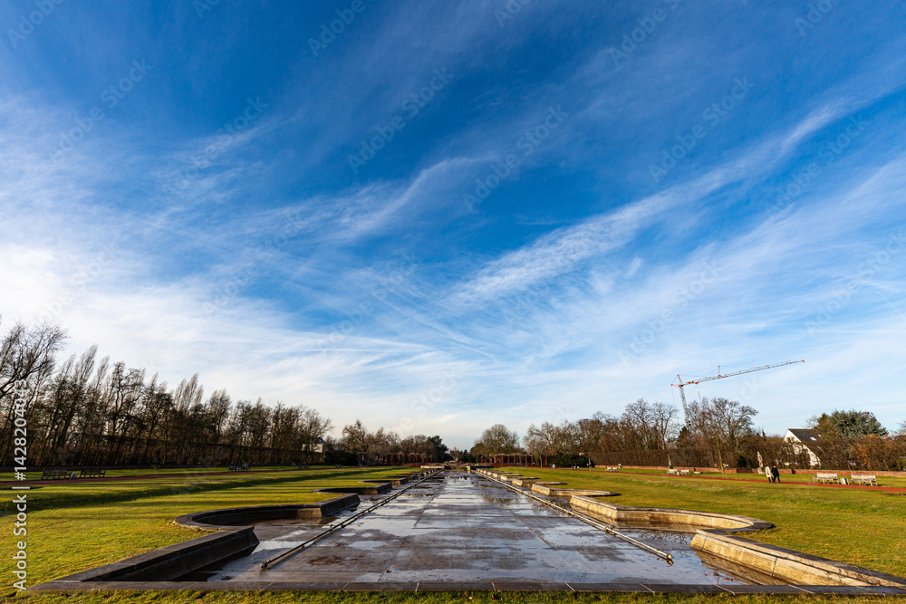 Grass field, trees and interesting sky in park in winter