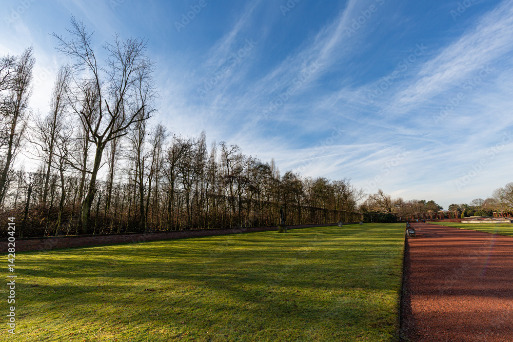 Grass field, trees and interesting sky in park in winter