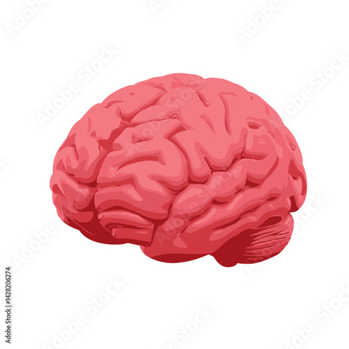 Brain illustration in bright pink color, representing intelligence  
