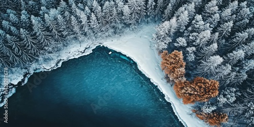 Mesmerizing top-down view of pristine lake waters adjacent to a serene white forest.