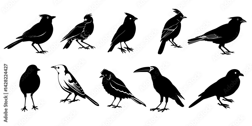 Fototapeta premium Collection of black fill birds SVG. illustration on transparent background.