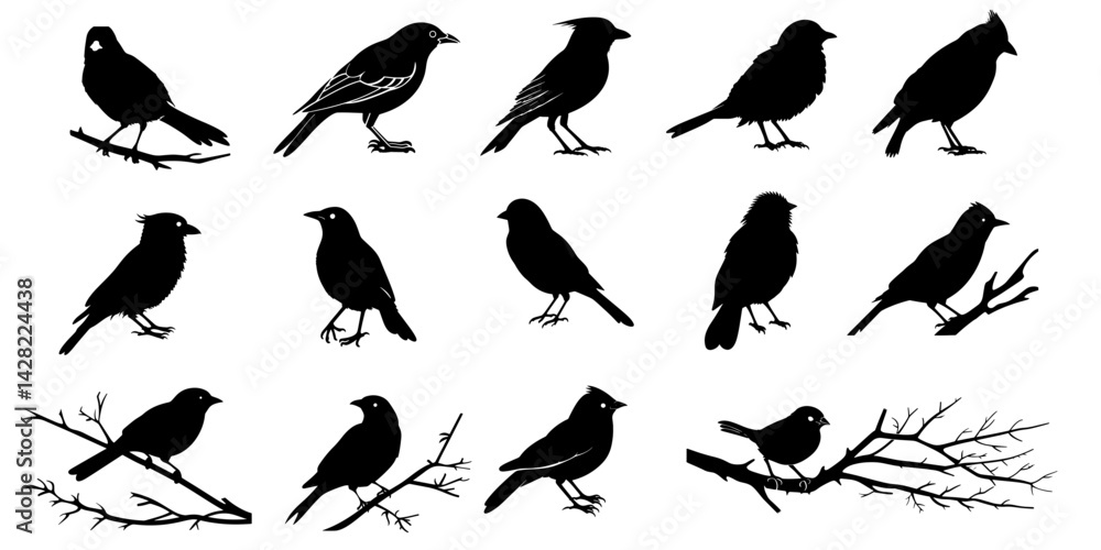 Fototapeta premium Collection of black fill birds SVG. illustration on transparent background.