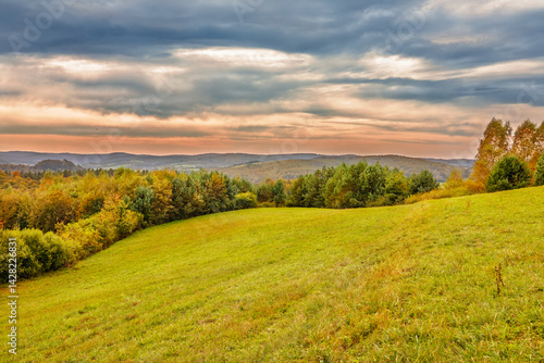 the golden grass with yellowish trees on a mountain slope meadow in autumn with beatiful sky