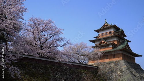 Wallpaper Mural 高島公園に咲く満開の桜 Torontodigital.ca