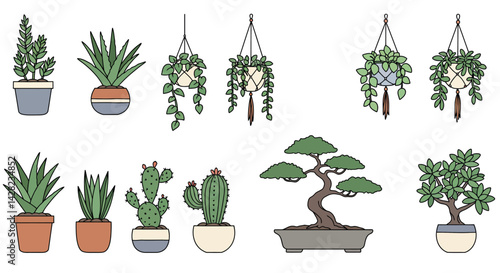 Diverse potted plant collection featuring succulents, bonsai and hanging planters