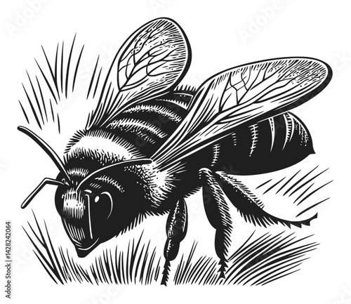 Hand-Drawn Linocut Style Illustration of a Busy Bee