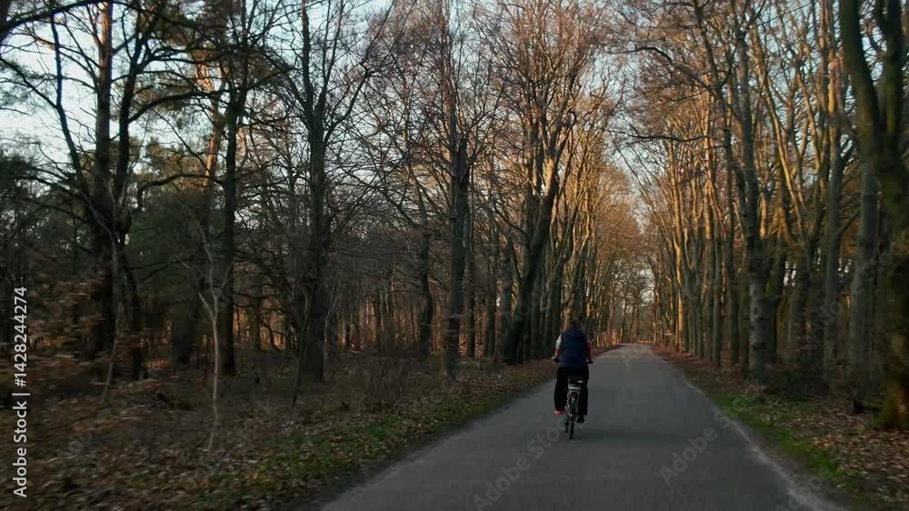 Single cyclist rides along a quiet forest road in early spring light, surrounded by bare trees and fallen leaves. Location: Netherlands, Ede, Gelderland Single cyclist rides along a quiet forest road in early spring light, surrounded by bare trees and fallen leaves. Location: Netherlands, Ede, Gelderland