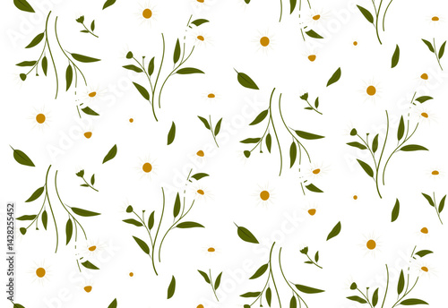 Floral pattern with hand-drawn daisy flowers