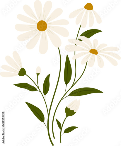 Hand-drawn daisy flower