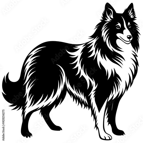 Shetland Sheepdog Vector Silhouette - Capturing the Elegance and Agility of this Beloved Canine Companion Breed- Shetland Sheepdog Illustration.