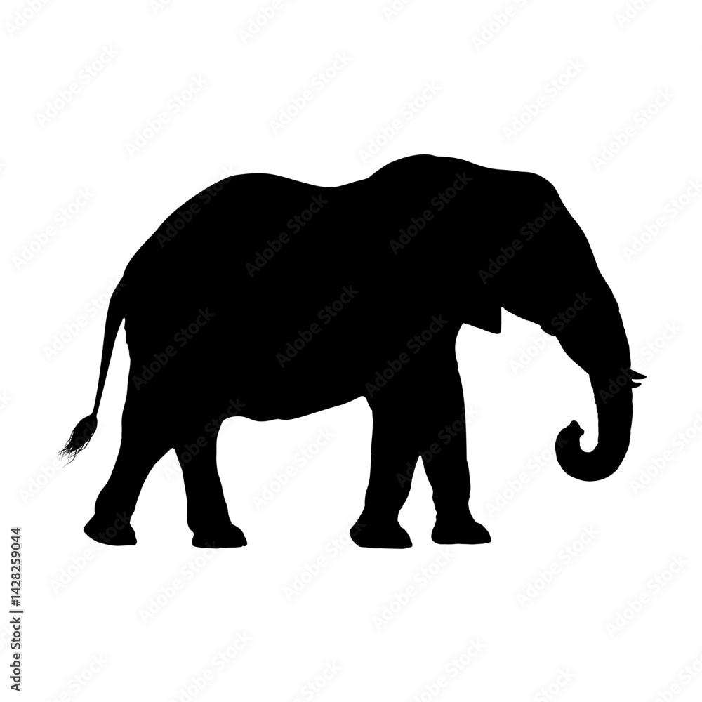Fototapeta premium African elephant silhouette – vector illustration
