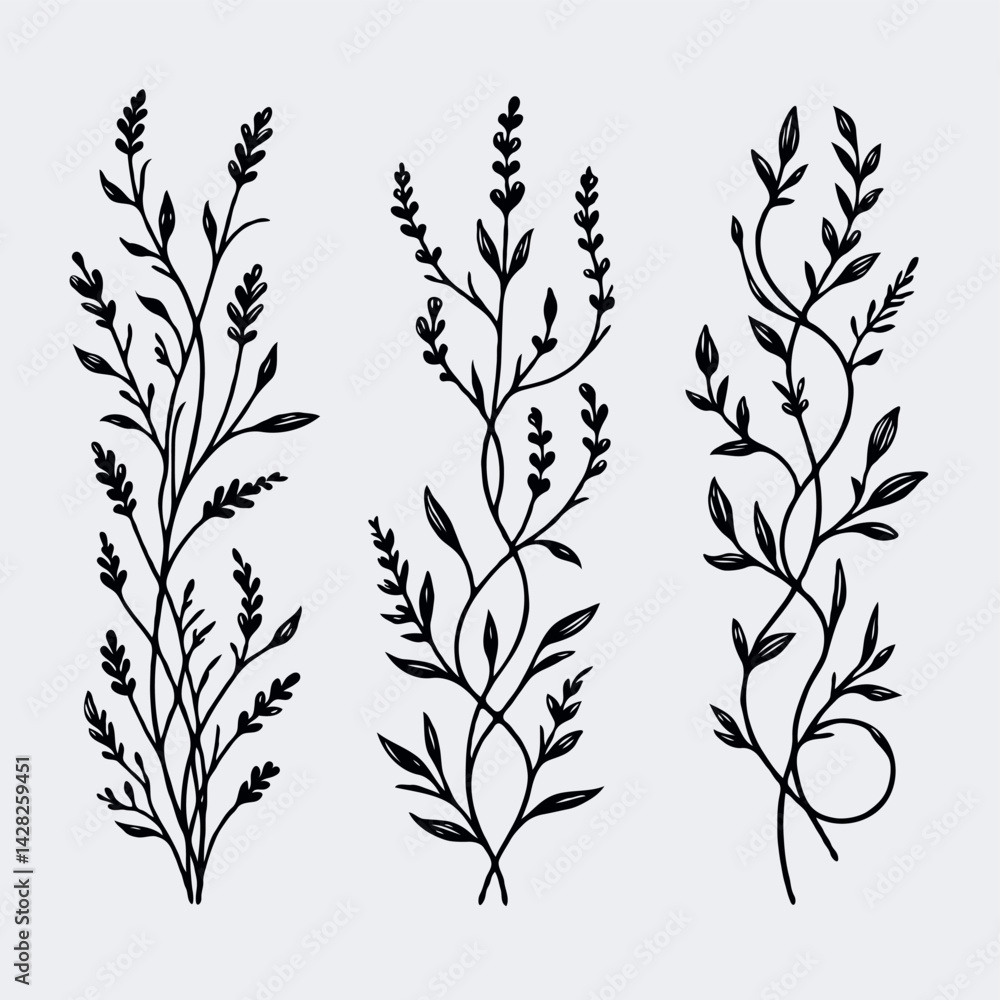 Fototapeta premium Hand drawn wild flowers Botanical drawing. line art grasses, stems illustration. Black and White Meadow herbs. Herbaceous blooming plants. Set of outline doodle floral sketch Leaves 