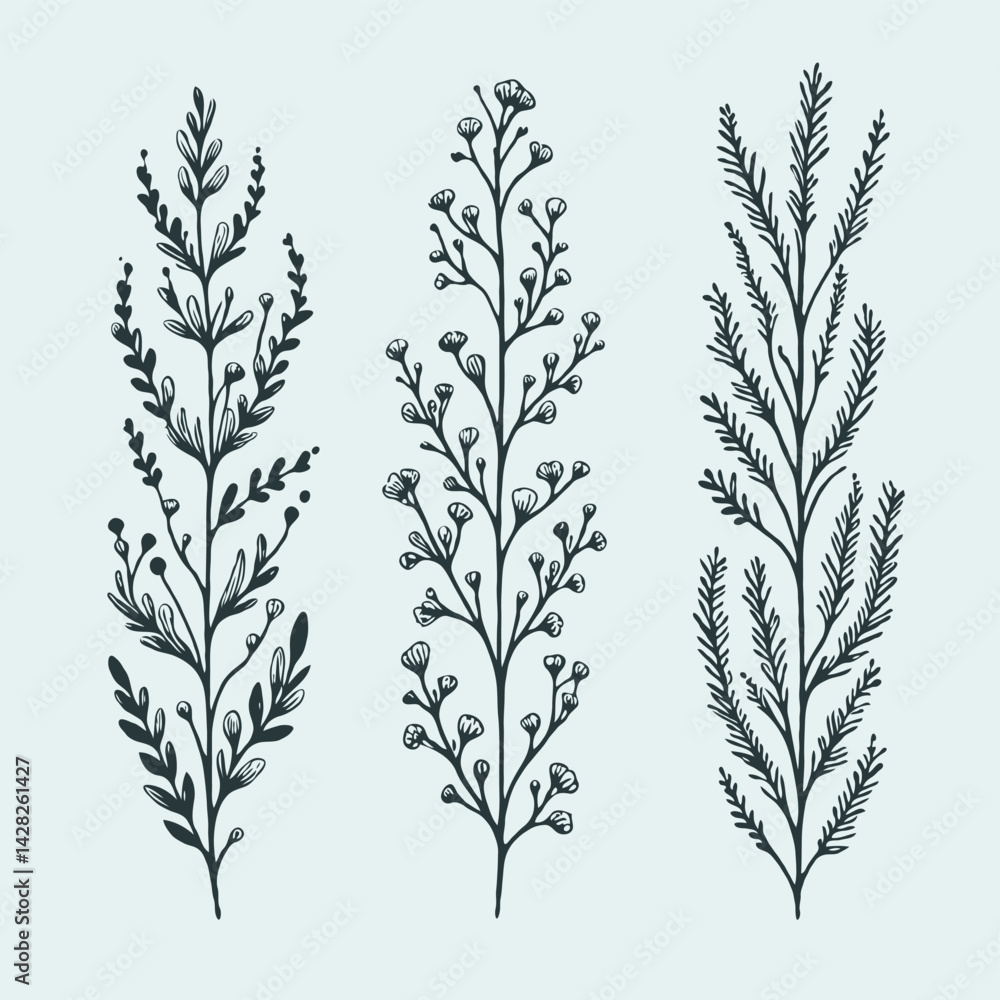 Naklejka premium Hand drawn wild flowers Botanical drawing. line art grasses, stems illustration. Black and White Meadow herbs. Herbaceous blooming plants. Set of outline doodle floral sketch Leaves