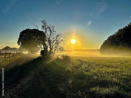 Sonnenaufgang am Gothensee bei Gothen auf Insel Usedom im Sommer