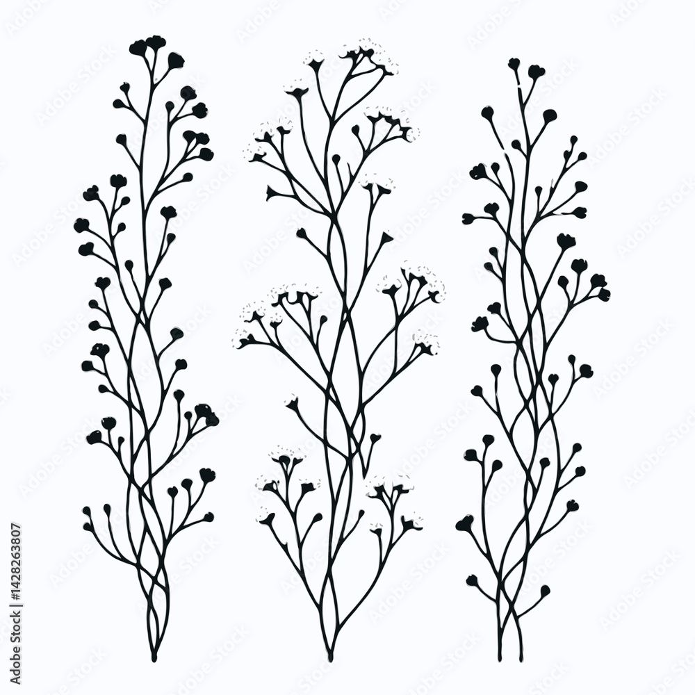 Hand drawn wild flowers Botanical drawing. line art grasses, stems illustration. Black and White Meadow herbs. Herbaceous blooming plants. Set of outline doodle floral sketch Leaves Hand drawn wild flowers Botanical drawing. line art grasses, stems illustration. Black and White Meadow herbs. Herbaceous blooming plants. Set of outline doodle floral sketch Leaves