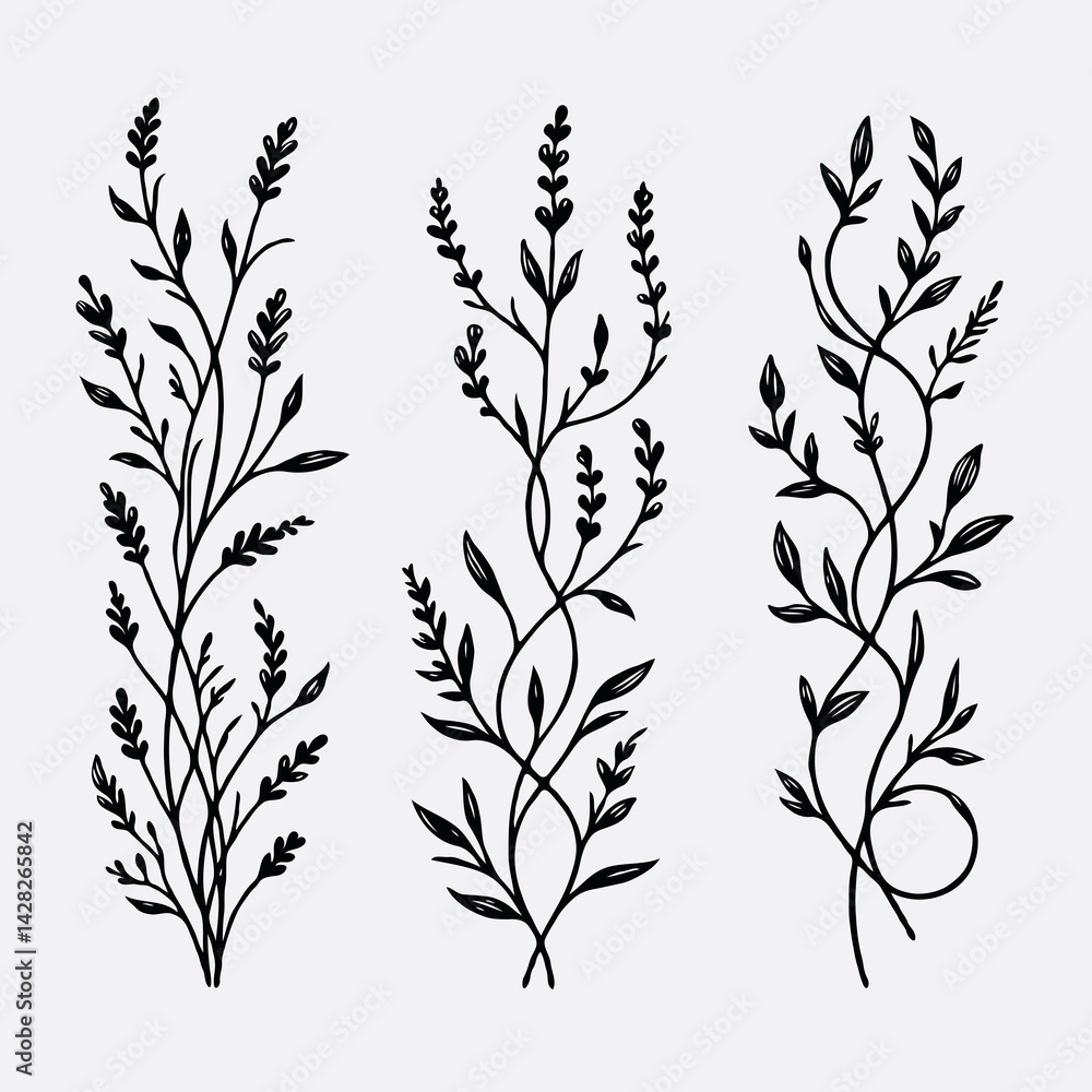 Hand drawn wild flowers Botanical drawing. line art grasses, stems illustration. Black and White Meadow herbs. Herbaceous blooming plants. Set of outline doodle floral sketch Leaves Hand drawn wild flowers Botanical drawing. line art grasses, stems illustration. Black and White Meadow herbs. Herbaceous blooming plants. Set of outline doodle floral sketch Leaves