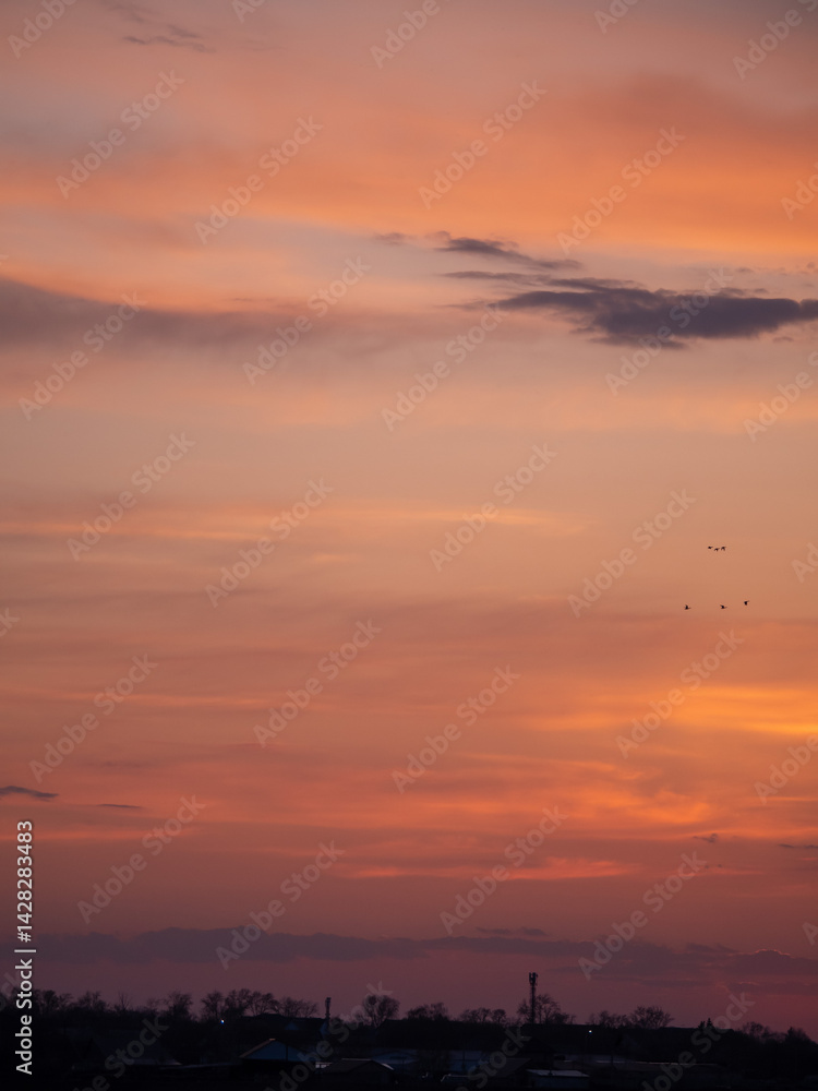 Fototapeta premium Beautiful sunset