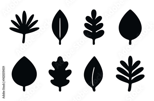 Nature and foliage silhouette icon set – solid style for eco-friendly design and botanical projects: palm leaf, oak leaf, mint leaf, maple leaf, fern, birch leaf, pine leaf, holly leaf.
