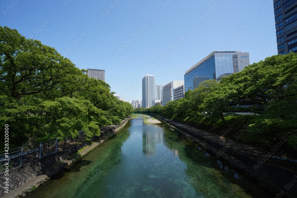 River Amidst Trees And Buildings Against Sky