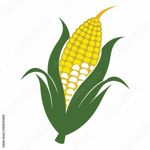 American corn on the cobs set shilhotee vector isolated on white background