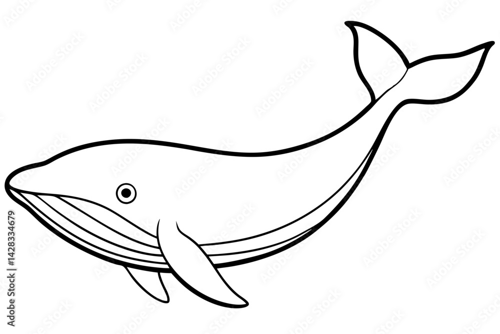 Fototapeta premium Minimalist Whale Vector