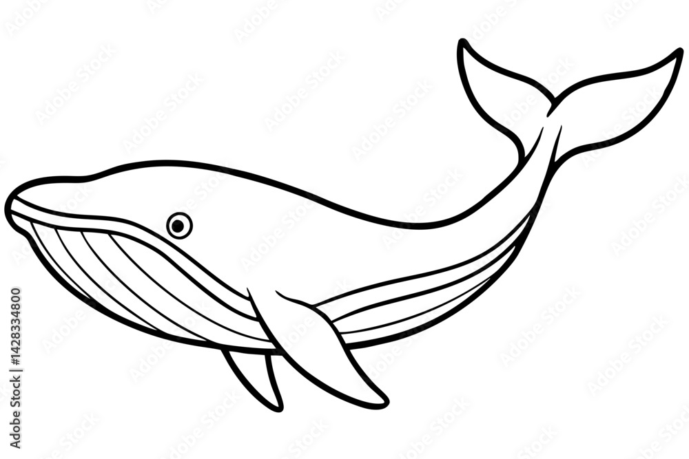 Fototapeta premium Minimalist Whale Vector