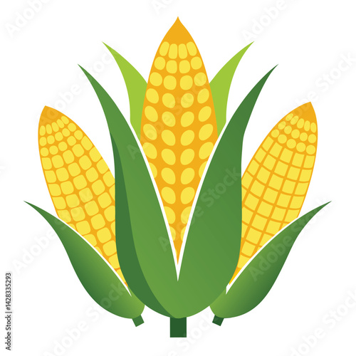 American corn on the cobs set shilhotee vector isolated on white background