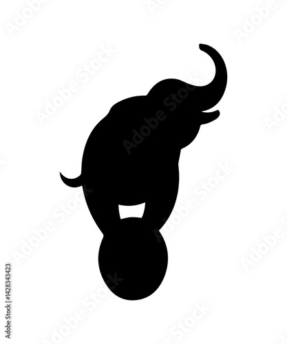 Elephant circus