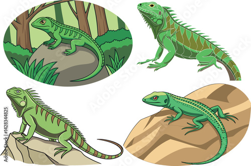 Cartoon Iguana Illustrations Diverse & Expressive Wildlife Art