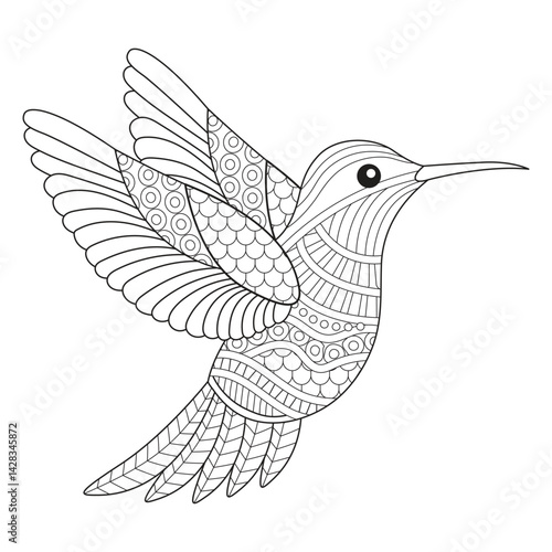 Intricate Hummingbird Line Art