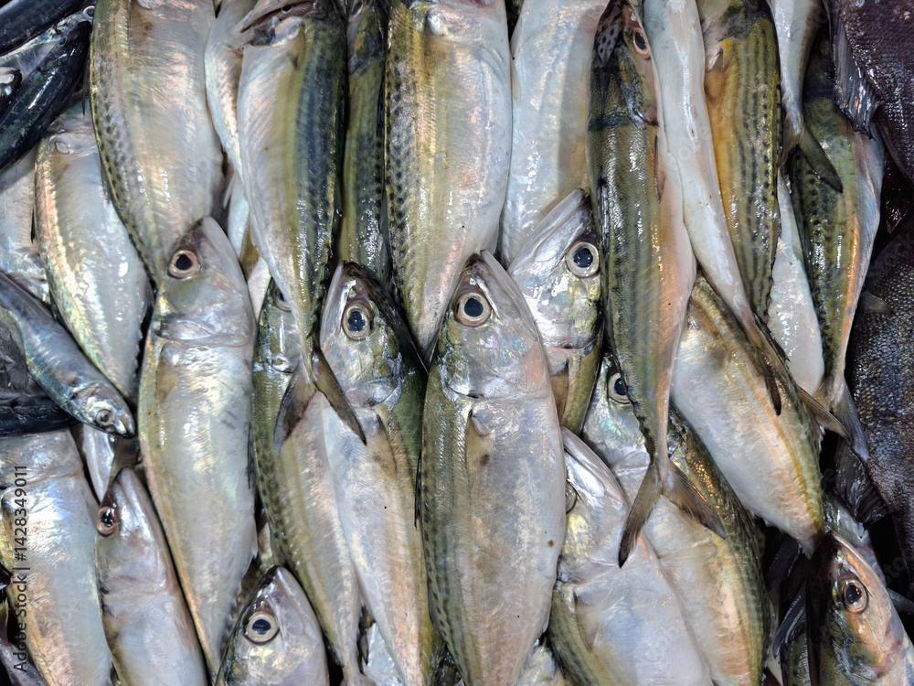 Obraz premium mackerel in Indonesian is called ikan kembung. piles of fresh fish sold in traditional markets