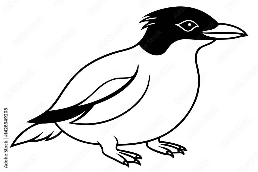Fototapeta premium Penguin Outline Vector
