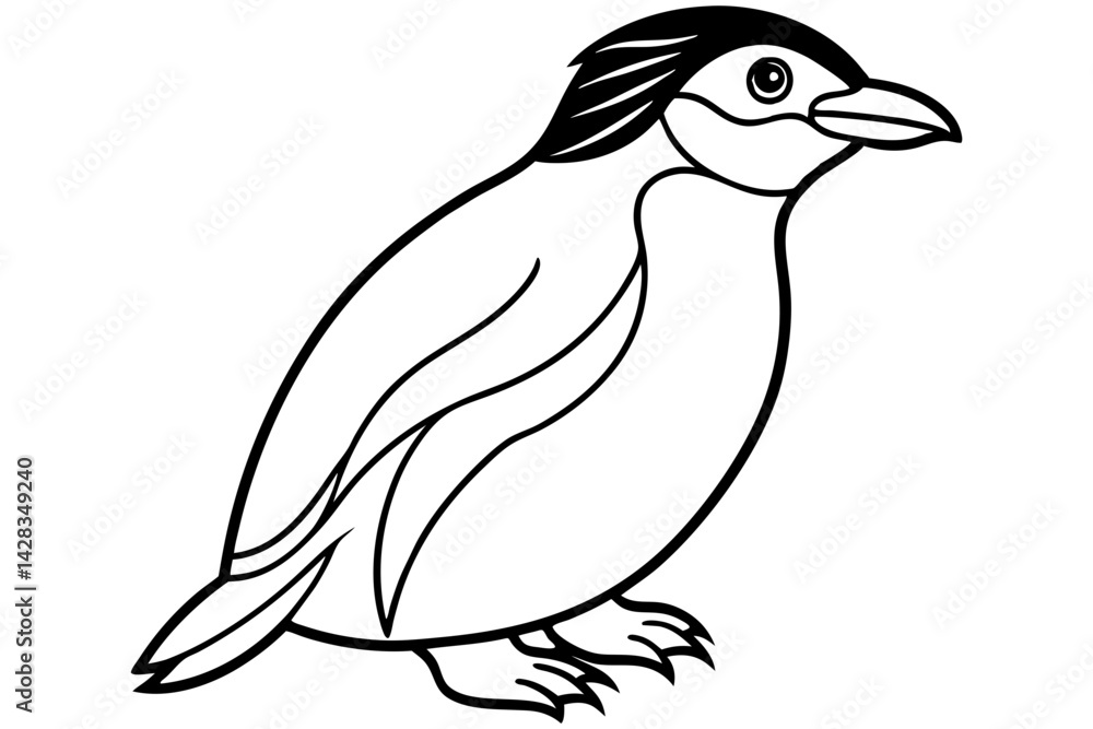 Fototapeta premium Penguin Outline Vector