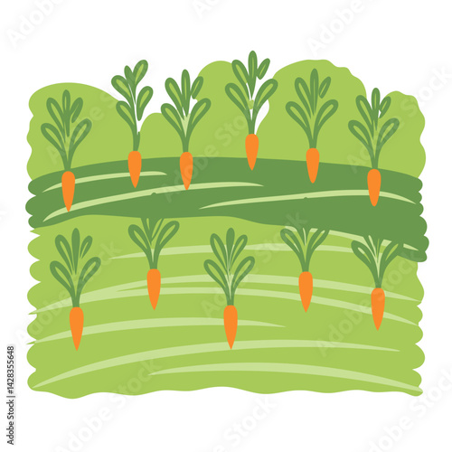 Carrots growing in a vibrant garden graphic  
