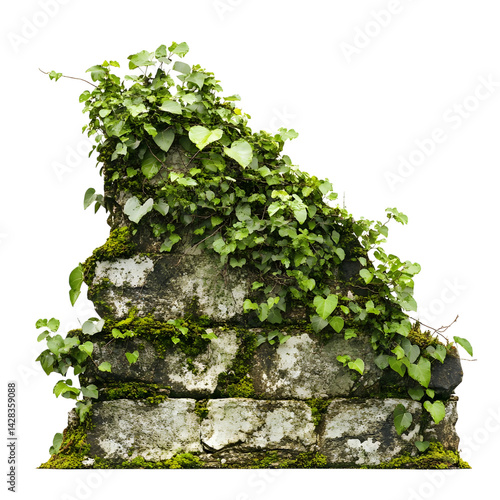 jungle vines growing over ancient stone wall isolated on transparent background