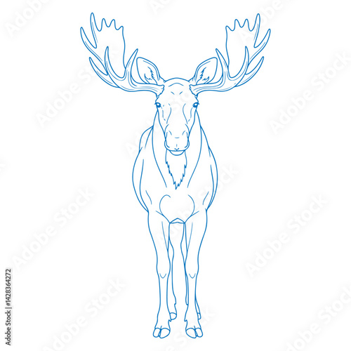 Minimalist hand drawn moose illustration front facing vector design in clean simple line art ideal for modern wildlife themes