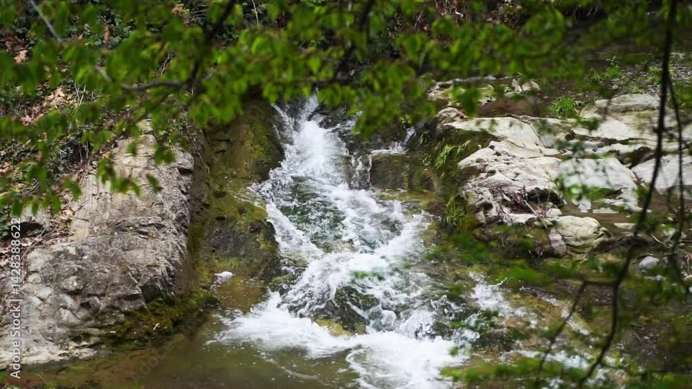 Forest stream on rocks with moss. Green fresh wet forest with river Forest stream on rocks with moss. Green fresh wet forest with river