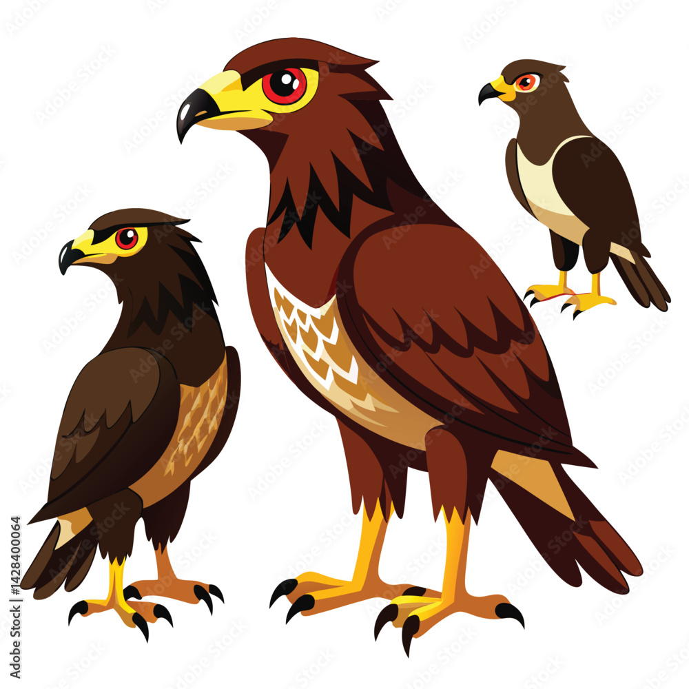 Fototapeta premium Buzzard Birds set on white background