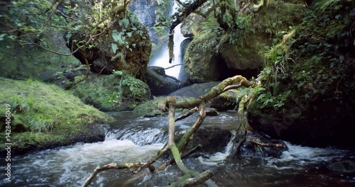 Waipohatu Falls in Pristine New Zealand Forest