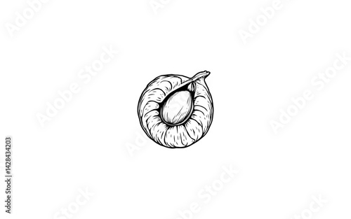 American Hazelnut Fruit – AI-Stylized Vector of Leaf-Husked Oval Nut