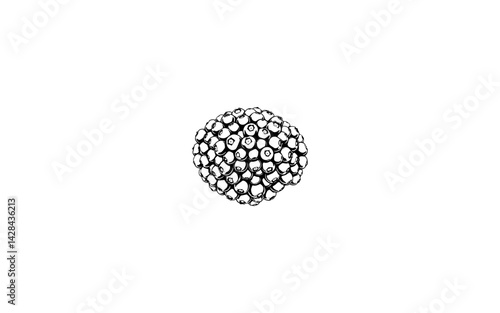 Andean Raspberry – AI-Crafted Clustered Drupelet Berry with Textured Finish