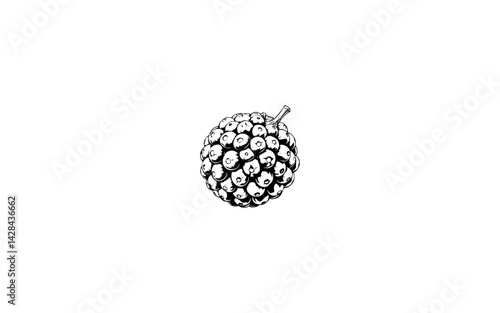 Andean Raspberry – AI-Crafted Clustered Drupelet Berry with Textured Finish