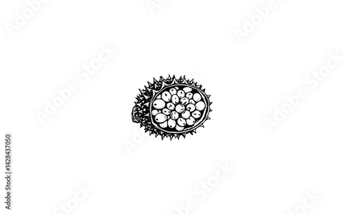 Annatto Fruit – AI-Generated Spiny Pod with Clustered Seeds Inside