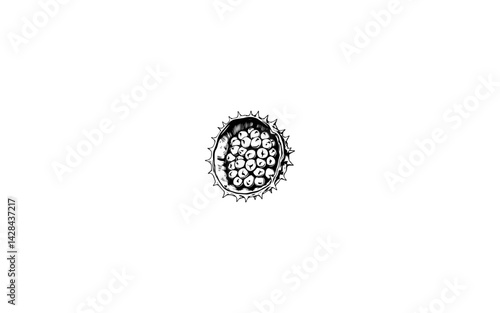 Annatto Fruit – AI-Generated Spiny Pod with Clustered Seeds Inside